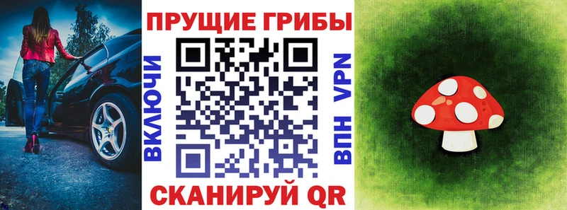Галлюциногенные грибы Cubensis  Купить где  Чадан 