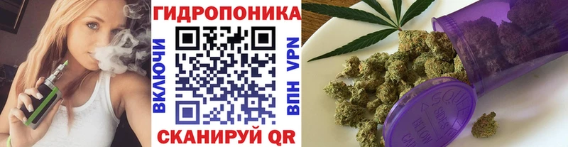 МАРИХУАНА гибрид  Купить закладки  Чадан 